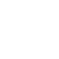 Intelligent Control System