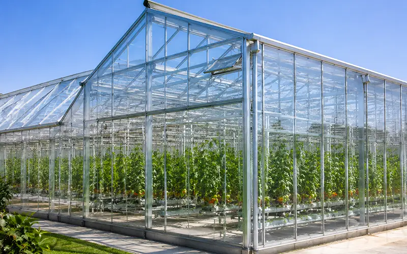 Dehumidifier for Glass Greenhouse