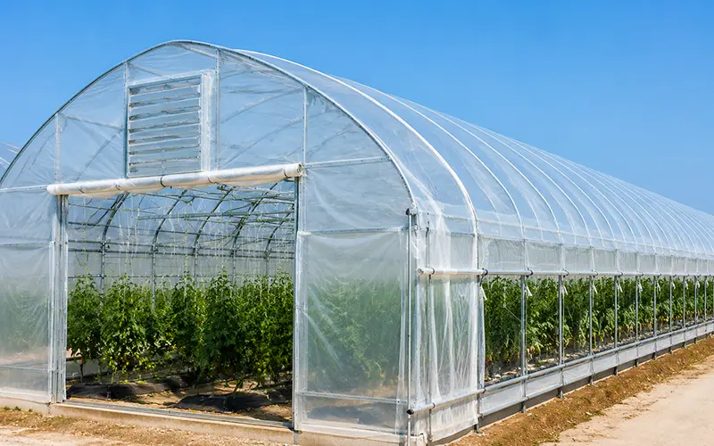 Dehumidifier for Plastic Film Greenhouse