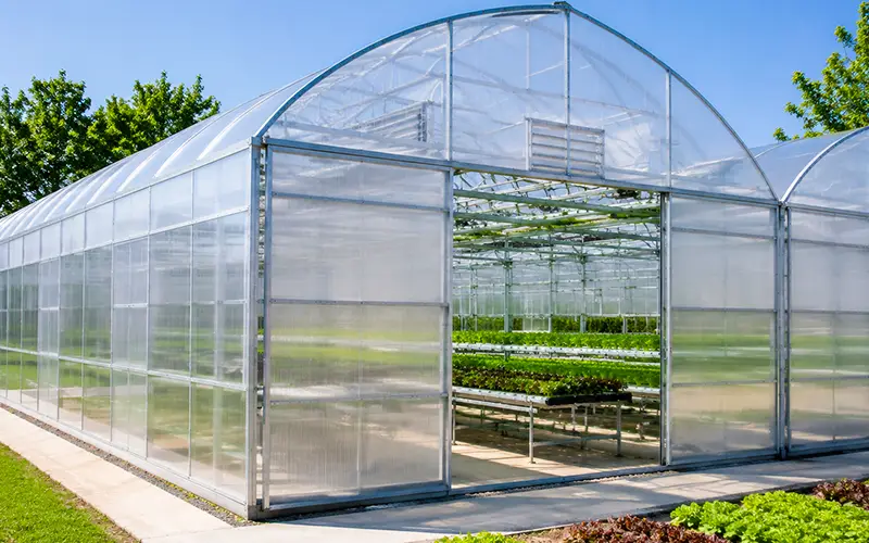Dehumidifier for Polycarbonate Greenhouse