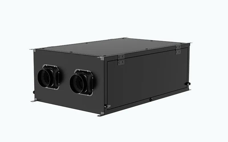 Fresh Air Dehumidifier for Hotel