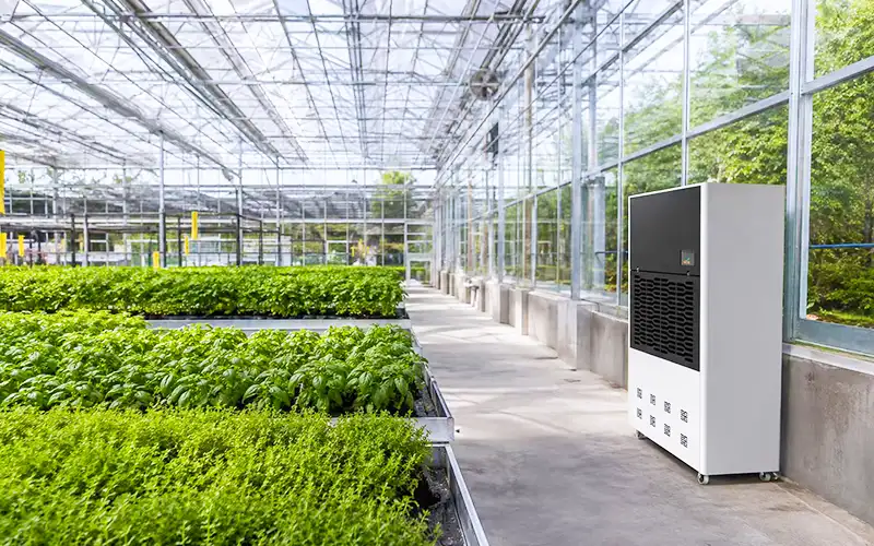 Herb Greenhouse Dehumidifier