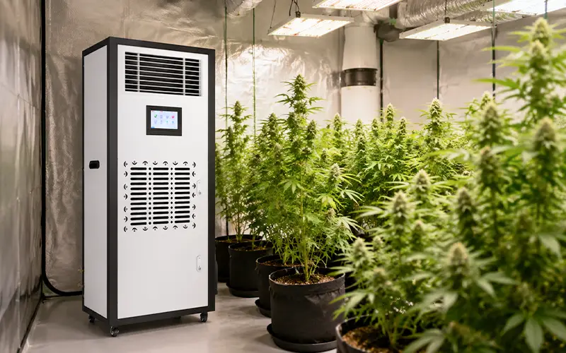 Humidifier Dehumidifier Combo for Grow Room