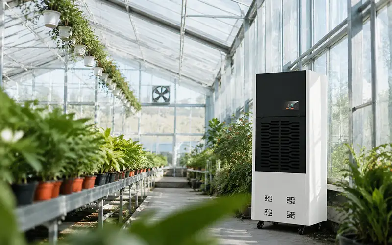 Refrigerant Dehumidifier for Greenhouse