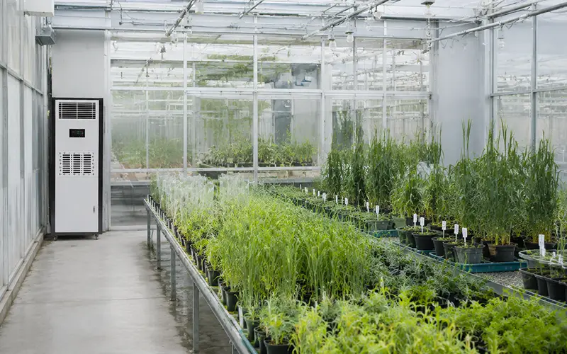 Research Greenhouse Dehumidifier