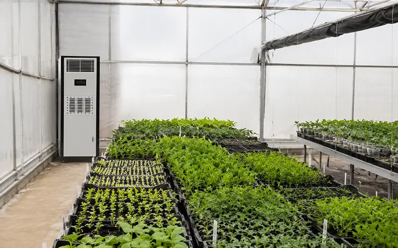 Seedling and Propagation Greenhouse Dehumidifier