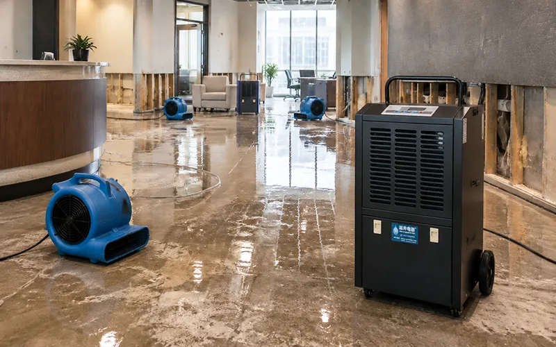 Commercial Building Restoration Dehumidifier