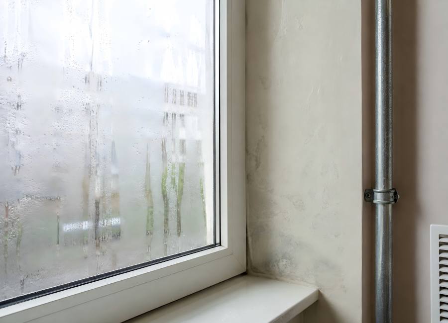 Condensation Frequently Appears on Windows and Walls