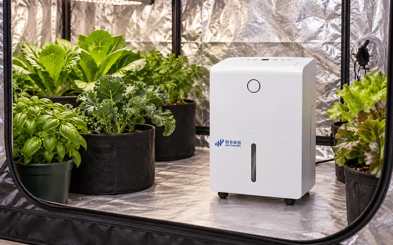 Grow Tent Dehumidifier Inside Tent Placement