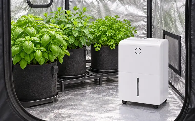 Herb Tent Dehumidifier