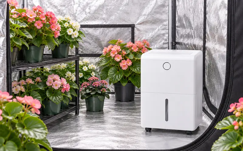 Ornamental And Flowering Plant Tent Dehumidifier