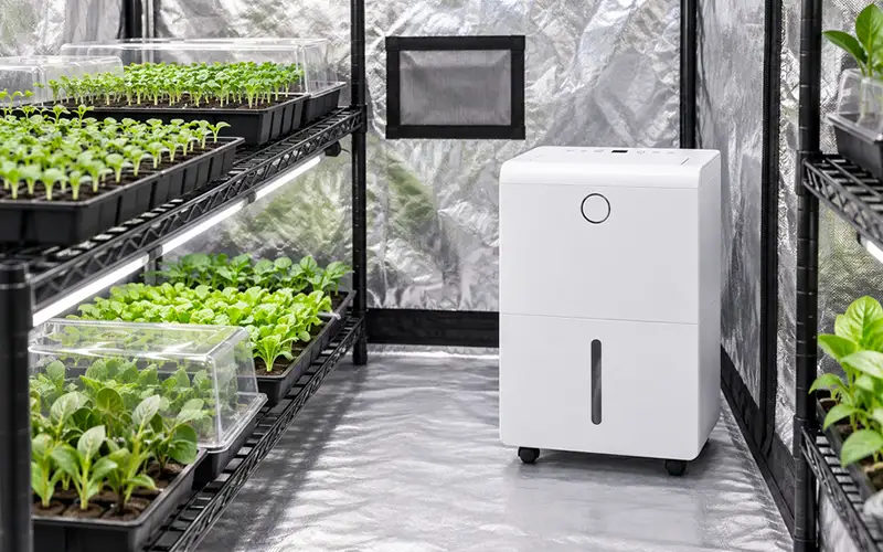 Seedling And Propagation Tent Dehumidifier