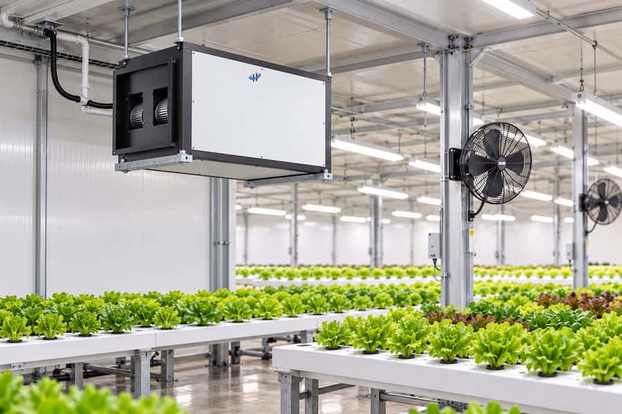 Ceiling Mounted Grow Room Dehumidifier Canopy Airflow