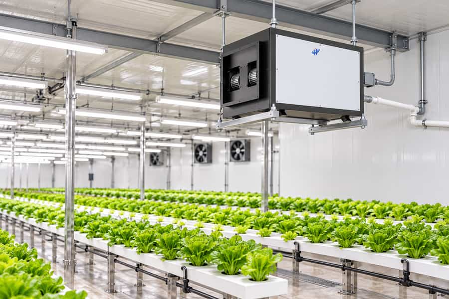 Ceiling Mounted Grow Room Dehumidifier Hydroponic Humidity Control