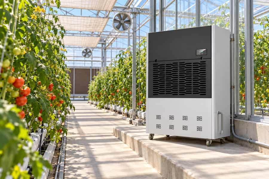 Greenhouse Dehumidifier Summer Cooling Balance